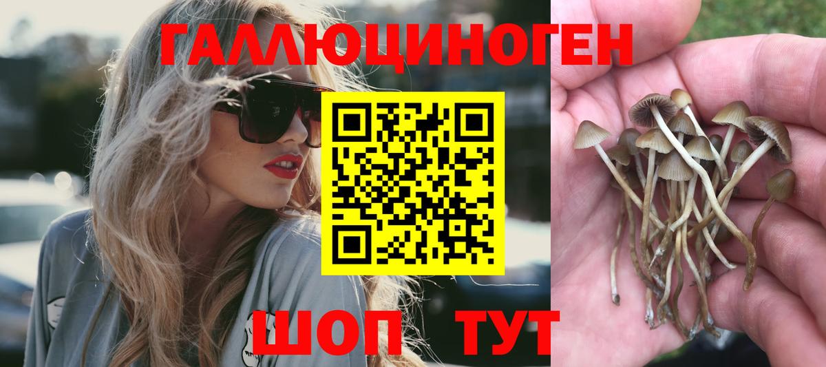 Назарово  Галлюциногенные грибы мицелий  Галлюциногенные грибы прущие грибы  Вход с VPN 